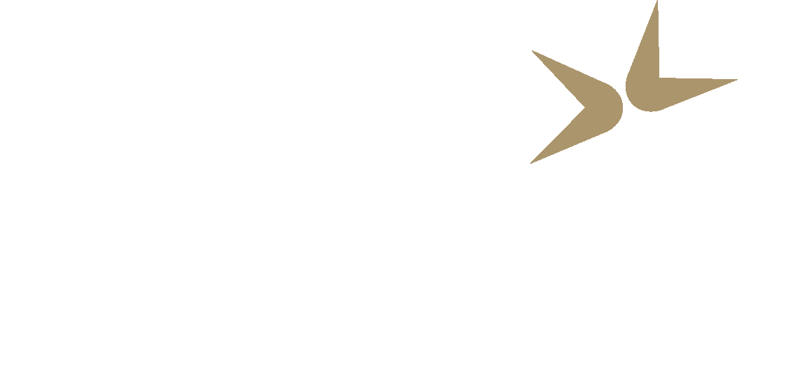 Logotype för FeelACT AB